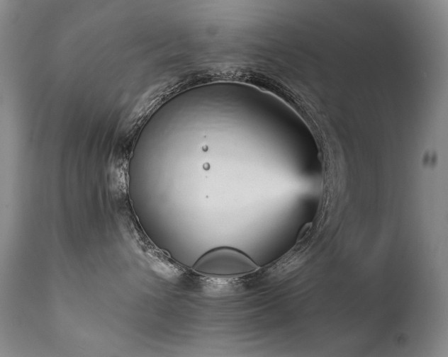 X0000111930432200907271318