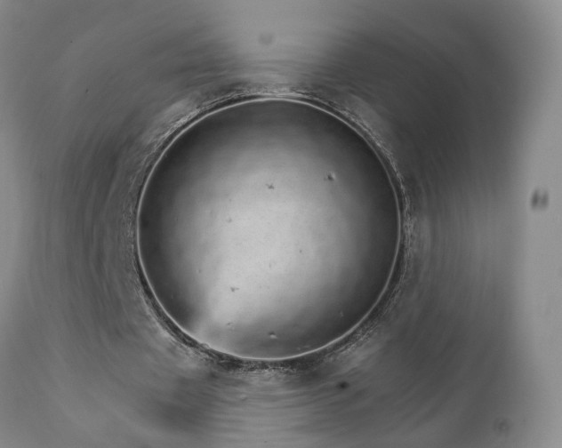 X0000111930433200907271317