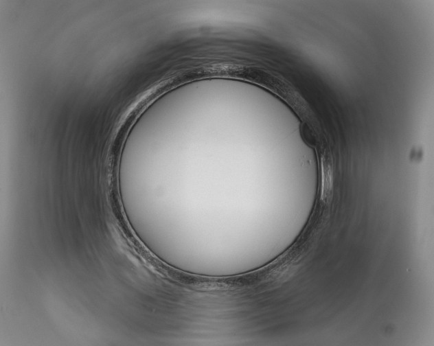 X0000111930435200907271317