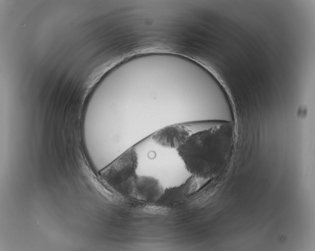 X0000111930437200907271317
