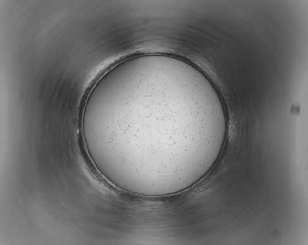 X0000111930438200907271317