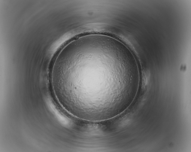 X0000111930439200907271317