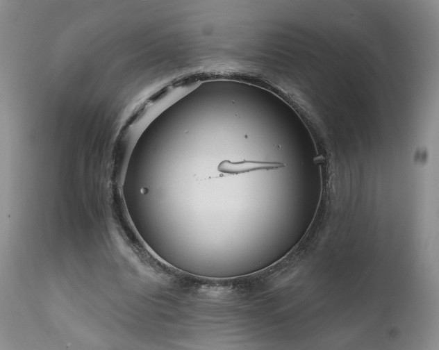 X0000111930440200907271317