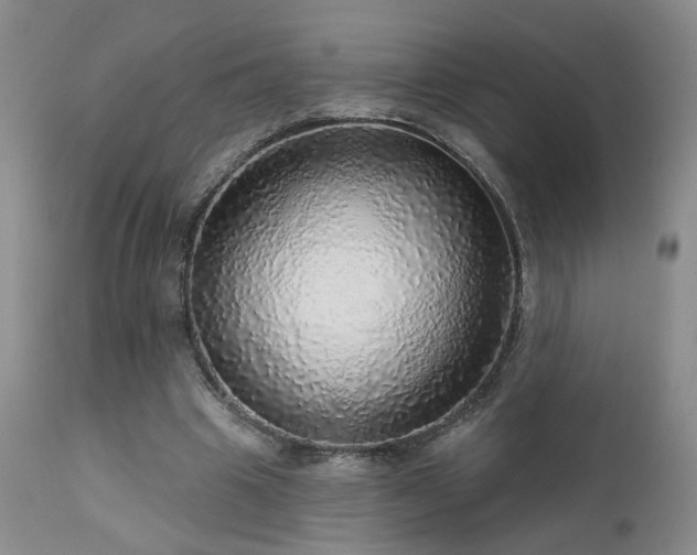 X0000111930441200907271317