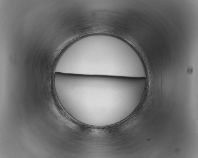 X0000111930442200907271317