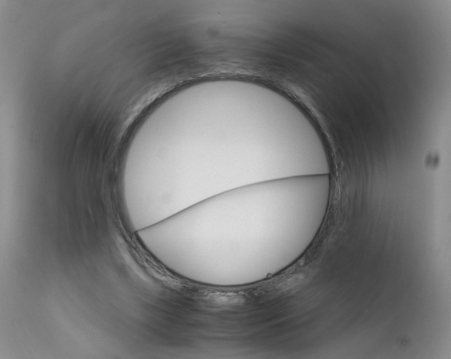 X0000111930443200907271317