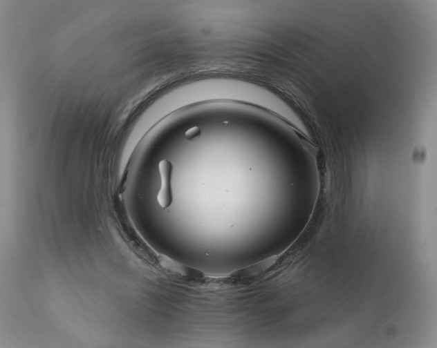 X0000111930444200907271317