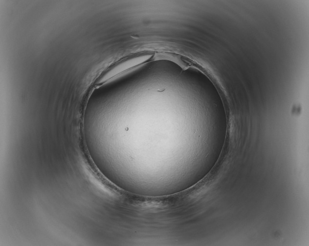 X0000111930445200907271317