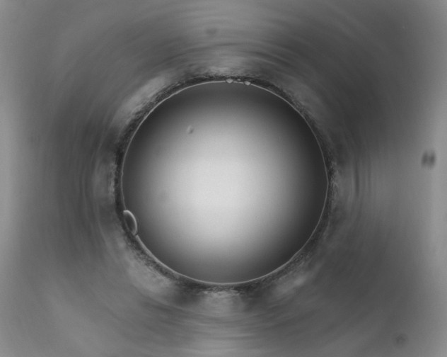 X0000111930446200907271317