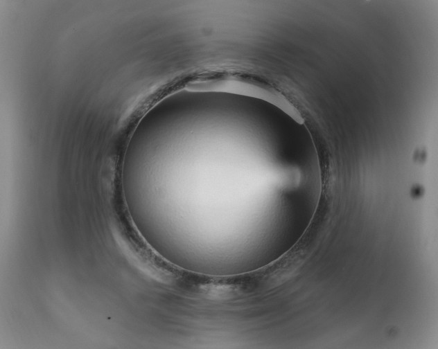 X0000111930448200907271317