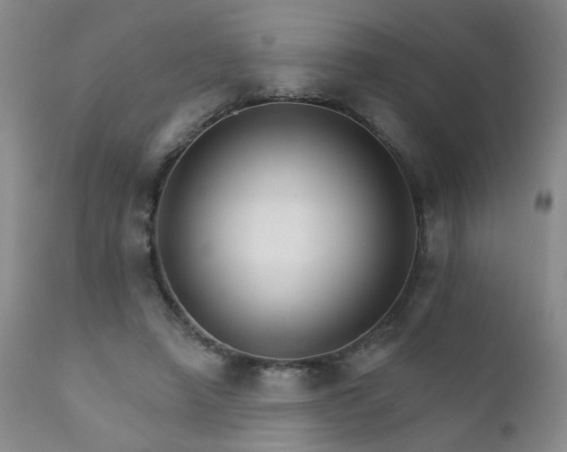 X0000111930450200907271317
