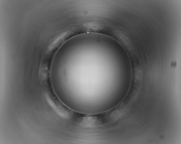 X0000111930451200907271317