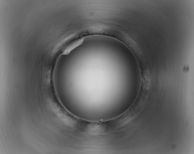 X0000111930454200907271317