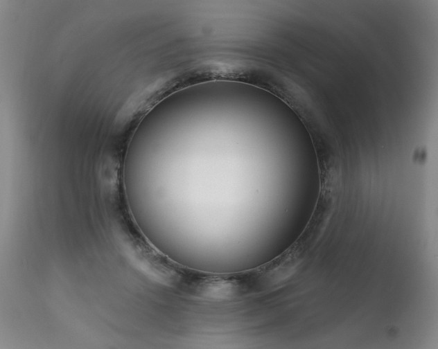 X0000111930456200907271317