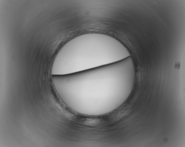 X0000111930458200907271318