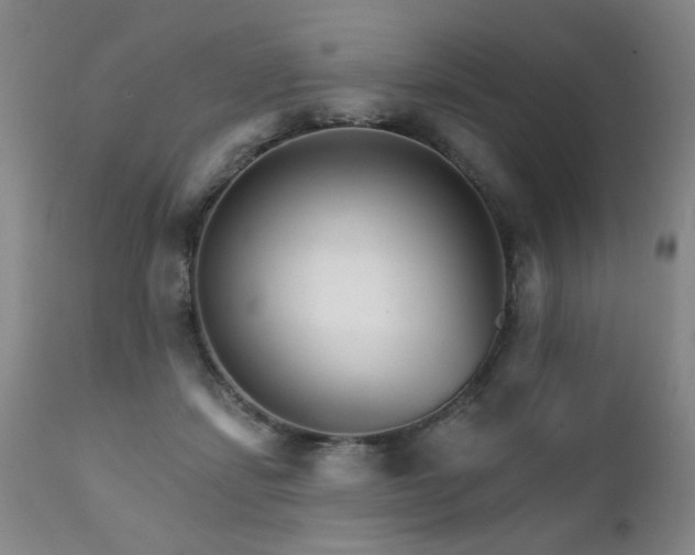 X0000111930459200907271318