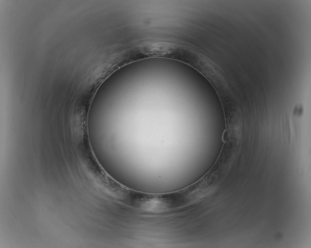 X0000111930460200907271318