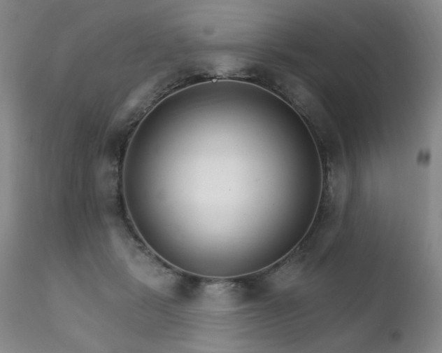X0000111930461200907271318