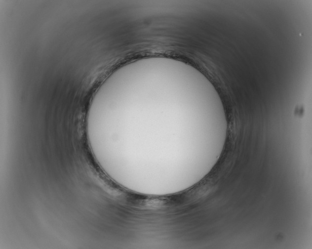 X0000111930462200907271318
