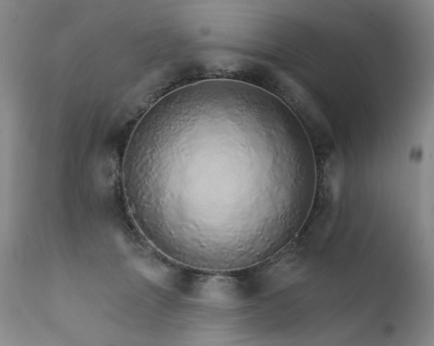 X0000111930463200907271318