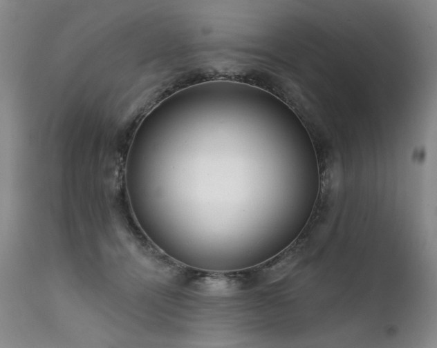X0000111930464200907271318