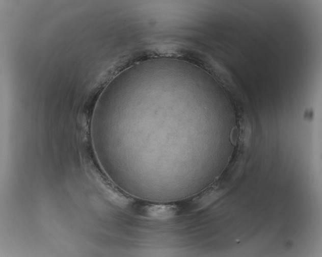X0000111930465200907271318