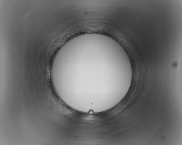 X0000111930467200907271318