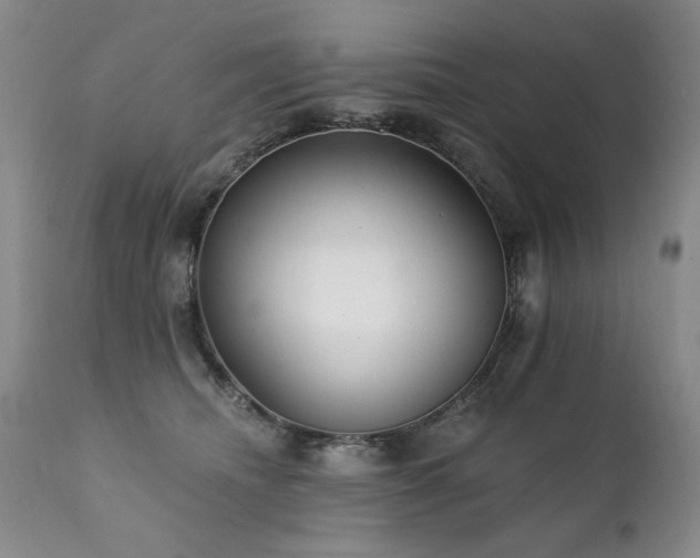 X0000111930468200907271318