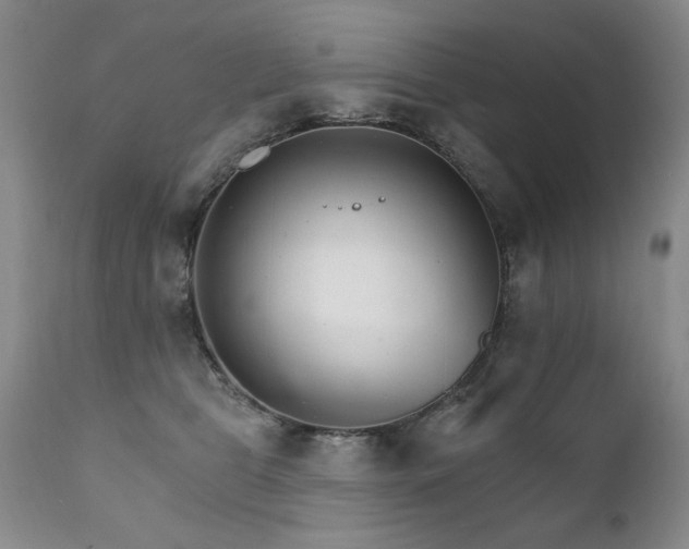 X0000111930469200907271318