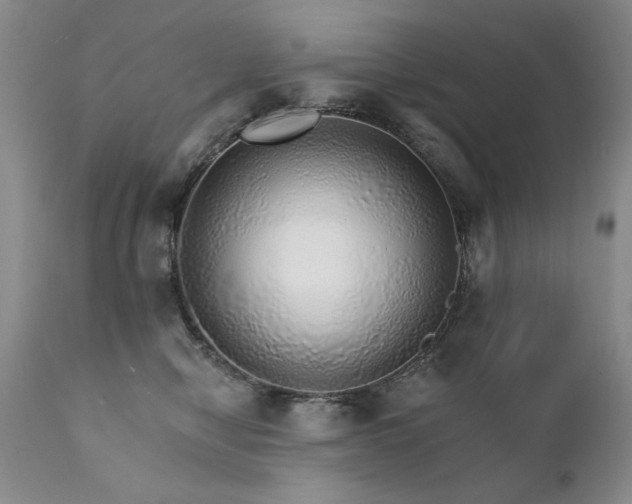 X0000111930470200907271318