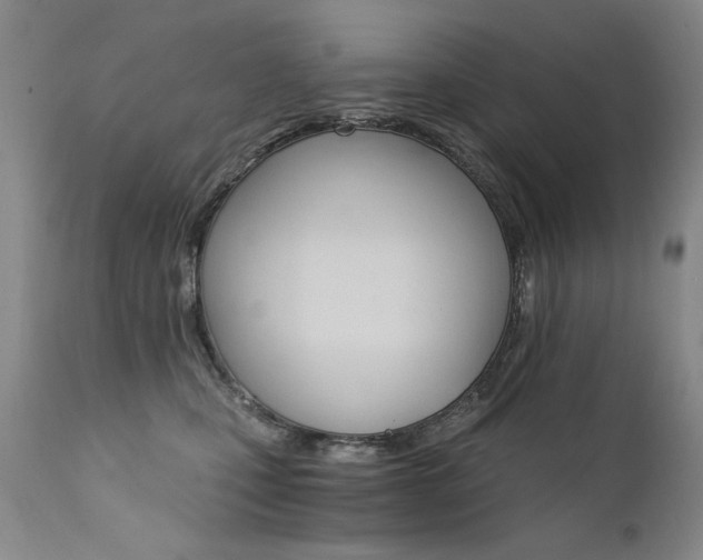 X0000111930471200907271318