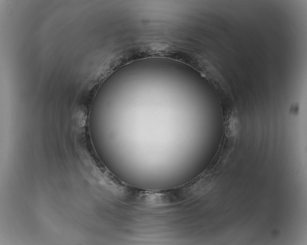 X0000111930472200907271318