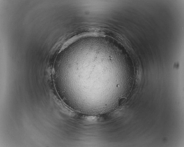 X0000111930473200907271318