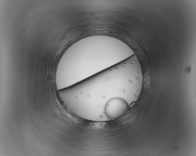 X0000111930474200907271318
