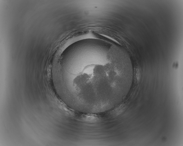 X0000111930475200907271318
