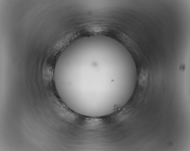 X0000111930476200907271318
