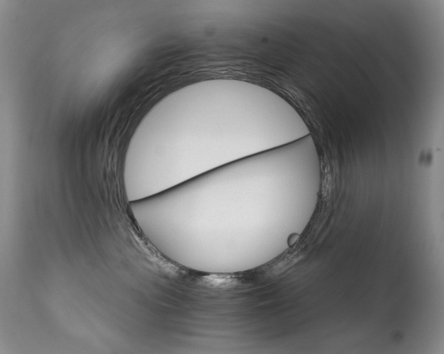 X0000111930477200907271318