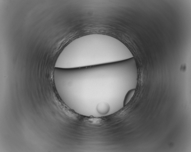 X0000111930478200907271318