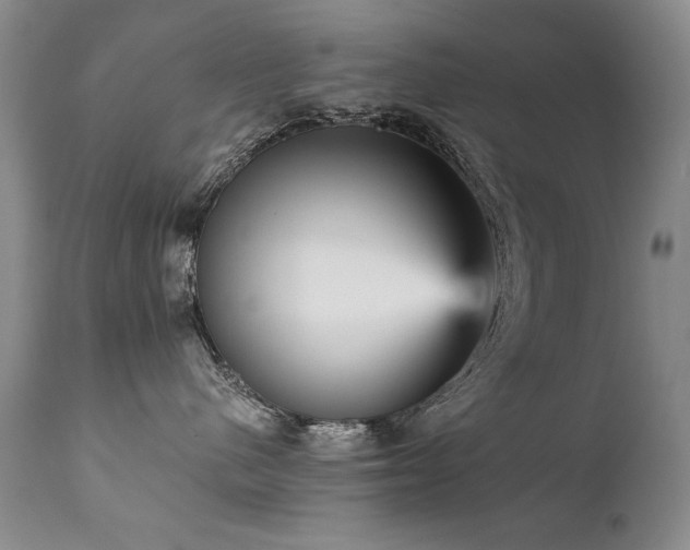 X0000111930480200907271318