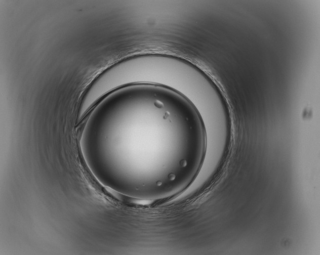 X0000111930481200907271317