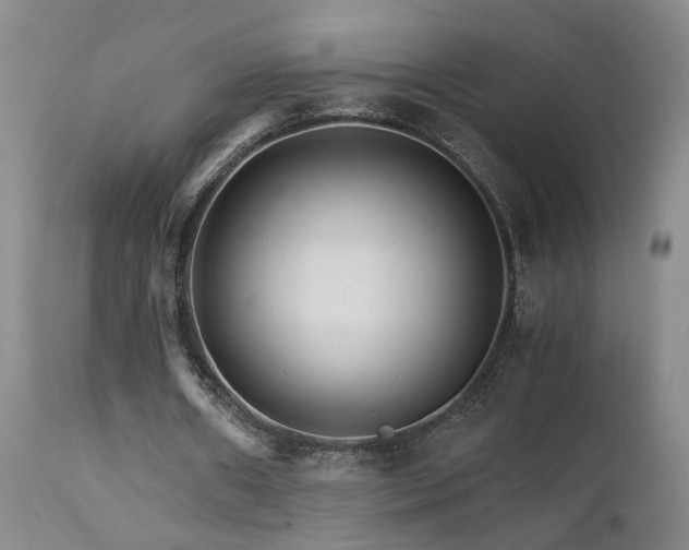 X0000111930482200907271317