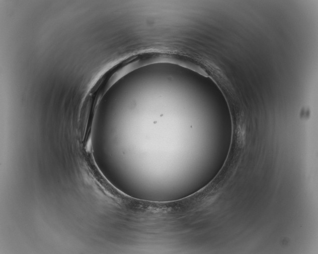 X0000111930484200907271317