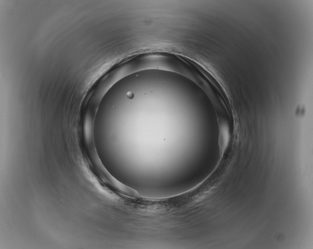 X0000111930485200907271317
