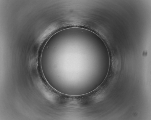 X0000111930486200907271317