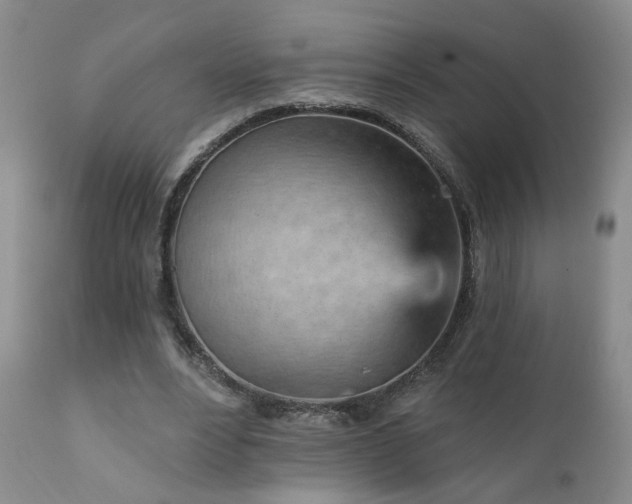 X0000111930488200907271317
