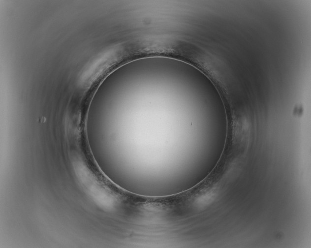 X0000111930490200907271317