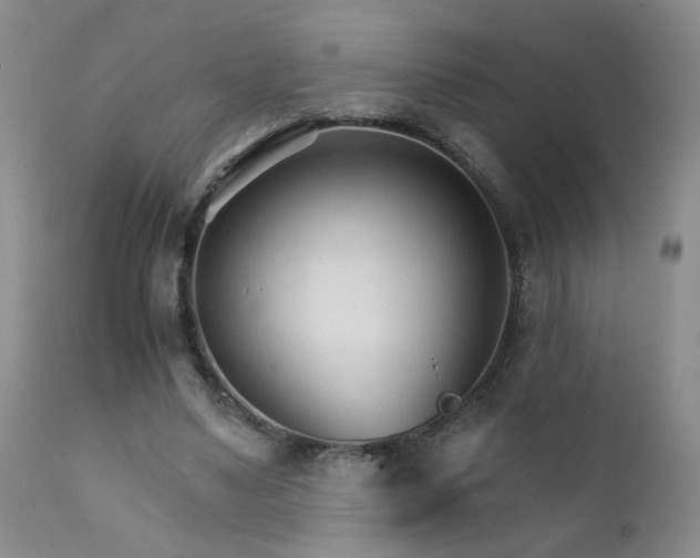 X0000111930491200907271317