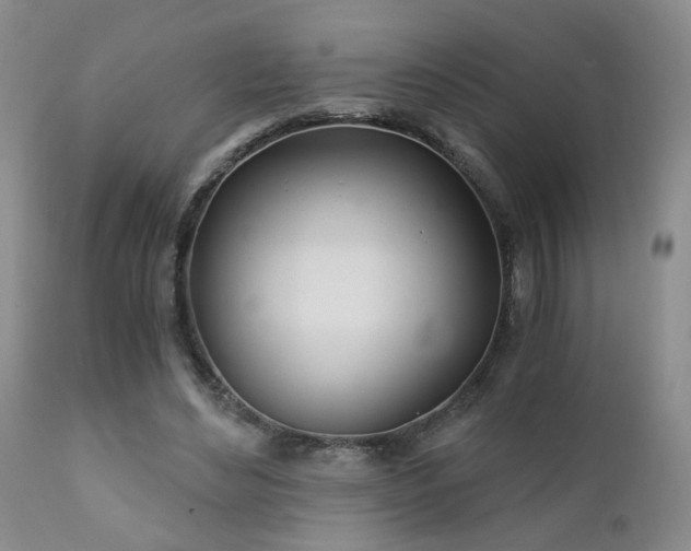 X0000111930492200907271317