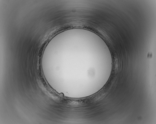 X0000111930494200907271317