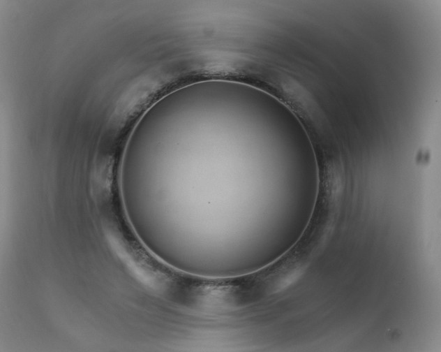X0000111930495200907271317